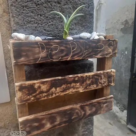 Peppe's House Apartment Catania