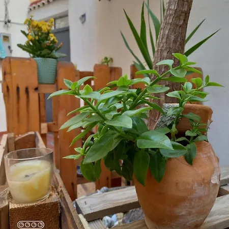 Peppe's House Appartamento